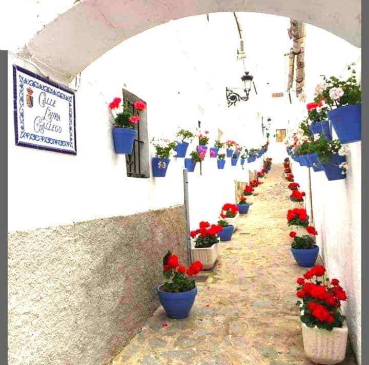 Casa Pepa Algar (Cadiz) Exterior foto